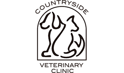 Richmond 2024 veterinary clinic